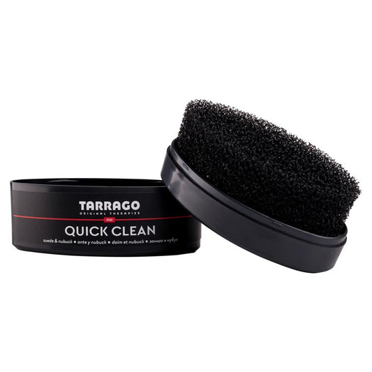 Quick Clean Sponge